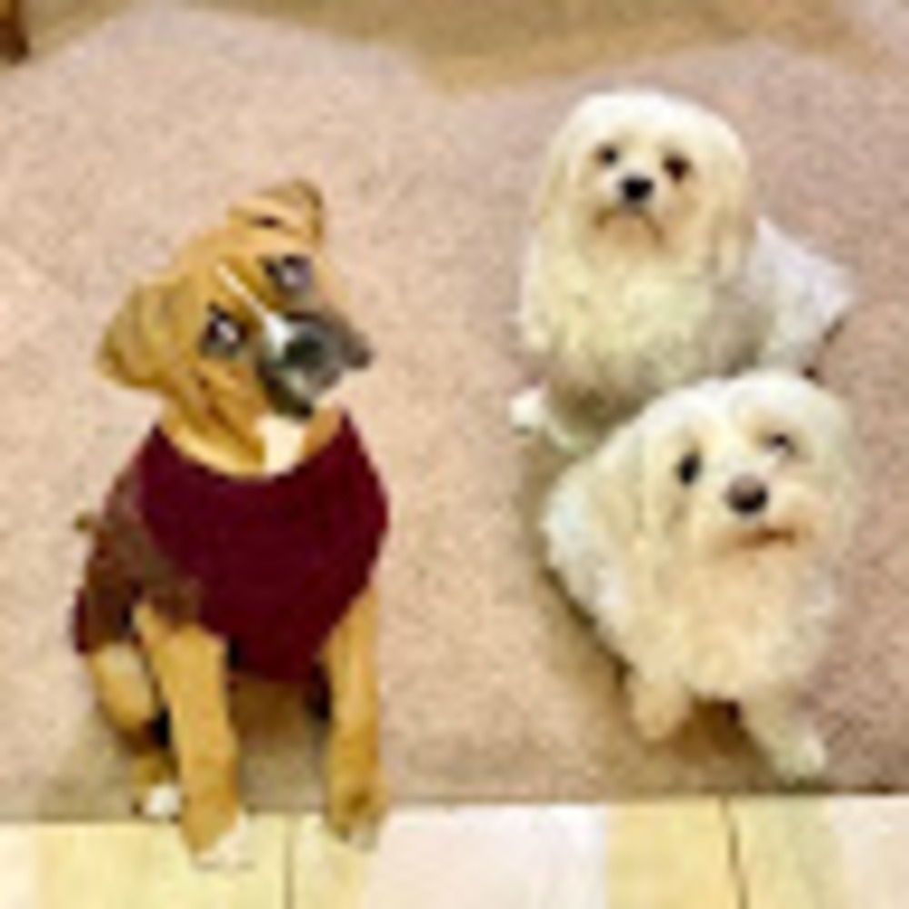 Meet your Posher, Sargon and ishtar